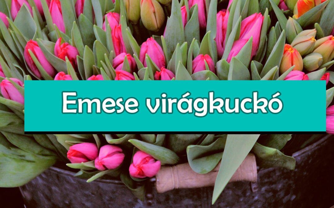 Emese Virágkuckó