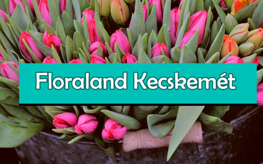 Floraland Kecskemét