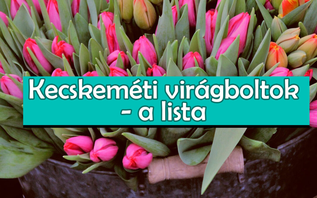 Kecskeméti virágboltok – a lista