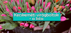 Kecskeméti virágbolt