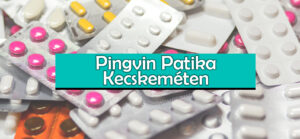 Pingvin Patika Kecskeméten